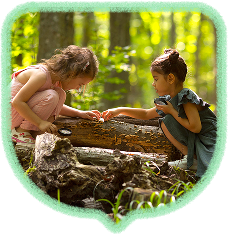 اکتشاف طبیعت